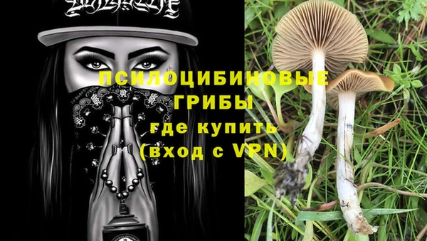 MDMA Premium VHQ Алзамай