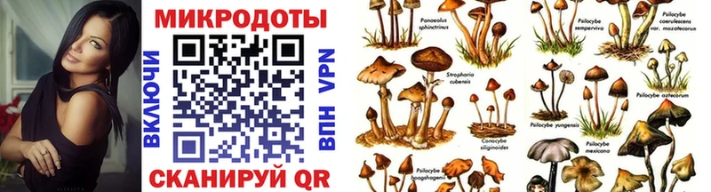 Псилоцибиновые грибы ЛСД  Бикин 